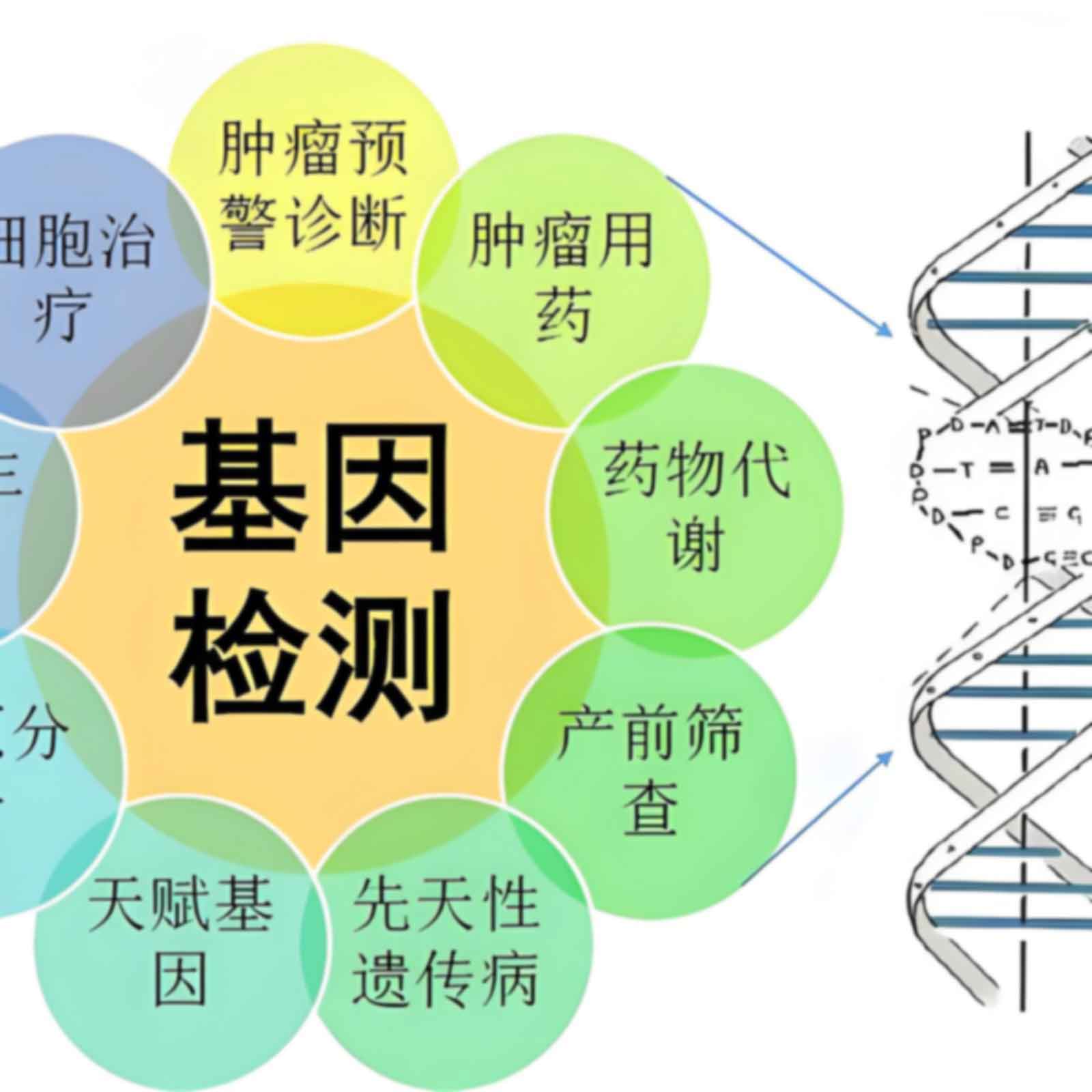 上海虹口区做亲子鉴定的办理步骤有哪些